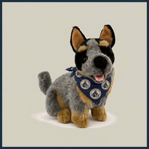 FAREWELLHILL Bluey Cattle Dog Plush – 22cm Sitting